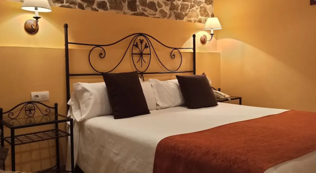 Двухместный номер Superior Hotel Ripoll