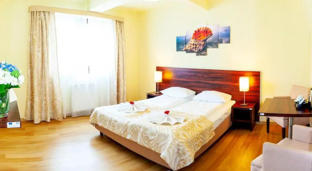 Standard Zimmer D.N. Center