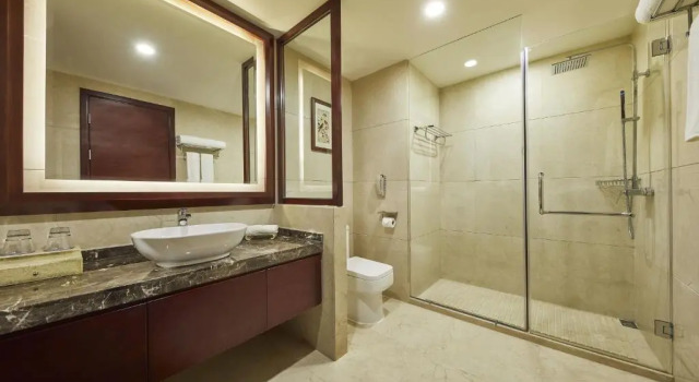Двухместный номер Standard Four Points By Sheraton Danzhou