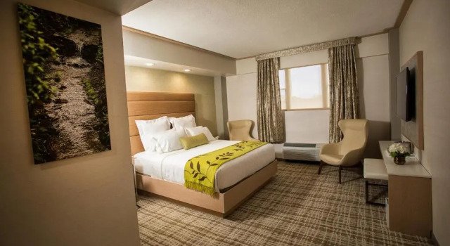 Номер Superior The Fredonia Hotel