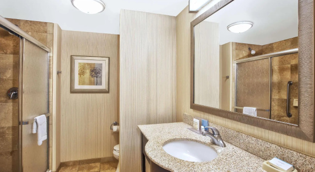 Четырёхместный номер Standard Hampton Inn & Suites Madison - West