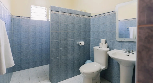 Deluxe dublă cameră Turtle Bay Dive Resort