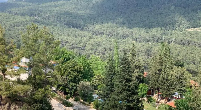 Trinitys Forest Bungalows, Забронировать Отель Кумлуджа провинция Анталья