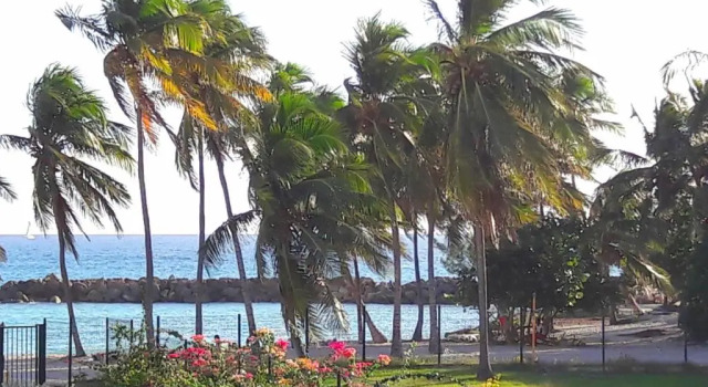 Studio Bleu Caraibe