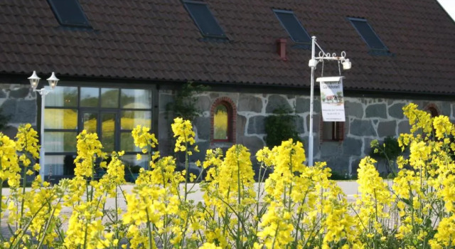 Номер Standard Blåsingsborgs Gårdshotell på Österlen