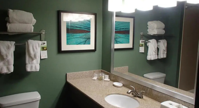 Номер Standard Wingate by Wyndham Bossier City