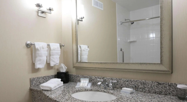 Четырёхместный номер Standard Hilton Garden Inn Lakeland