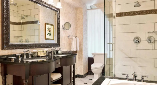 Двухместный номер Deluxe с видом на город The Brown Palace Hotel and Spa, Autograph Collection