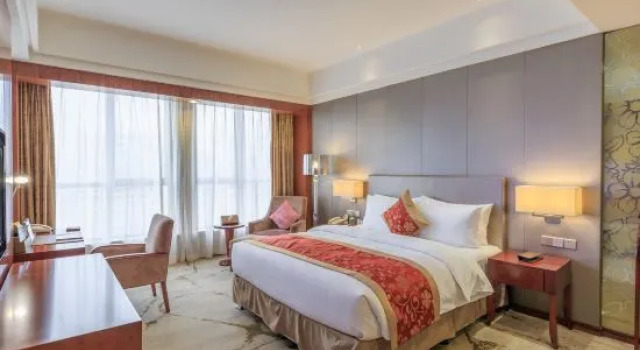 Suite Executive The Minpha Group