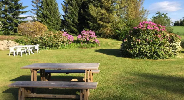 Одноместный номер Standard с балконом Hotel am Kunnerstein