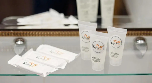 Номер Superior Korona Hotel&SPA