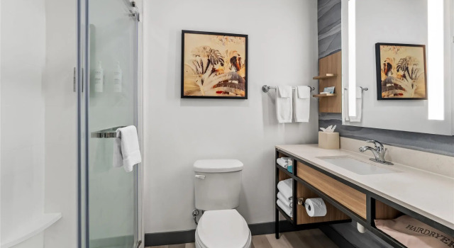 Двухместный полулюкс Hilton Garden Inn Warner Robins