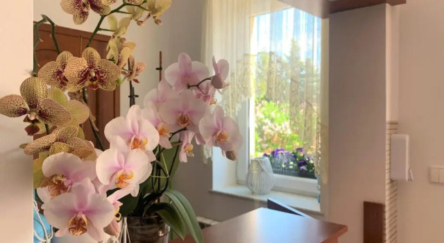 Willa Ambasador, Varaa Hotelli Jastrzębia Góra 