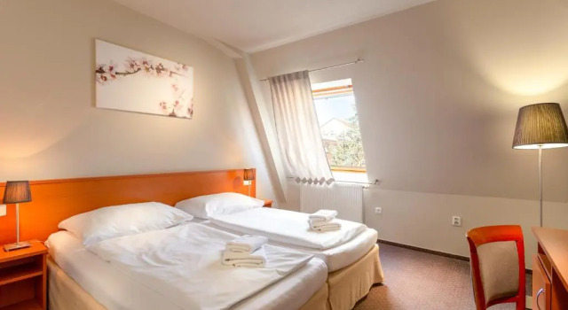 Двухместный номер Standard Wine Wellness Hotel Amande Hustopeče