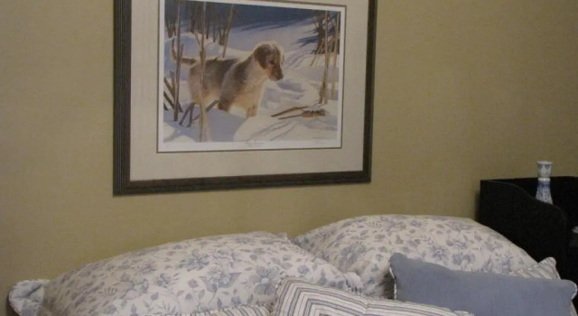 Номер Standard Willow Pond Satellite B&B