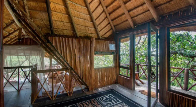 Двухместный номер Standard с балконом Pezulu Tree House Lodge