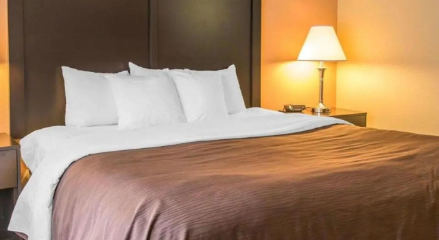 Номер Standard Quality Inn & Suites Niles