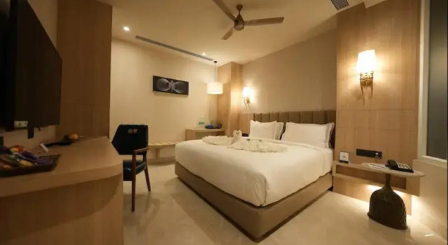 Одноместный номер Superior Pride Elite Raipur