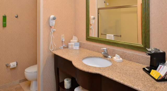 Четырёхместный номер Standard Hampton Inn & Suites St. Louis - Edwardsville