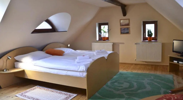 Апартаменты Hotel U Kozicky