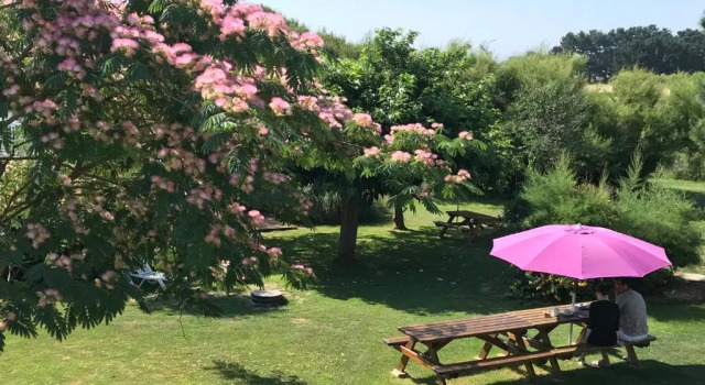 Номер Economy Hotel Aux Tamaris