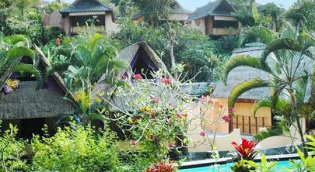 Shankari's Bali Retreat, Rezervovat Hotel Wellness hotely v Antosari, SPA