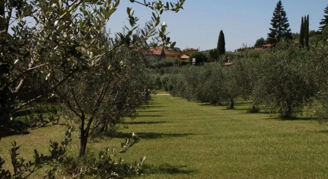 Семейный номер Standard с балконом Agriturismo Nonna Bettina