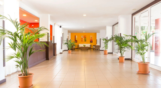 Apartamentos Centro Cancajos