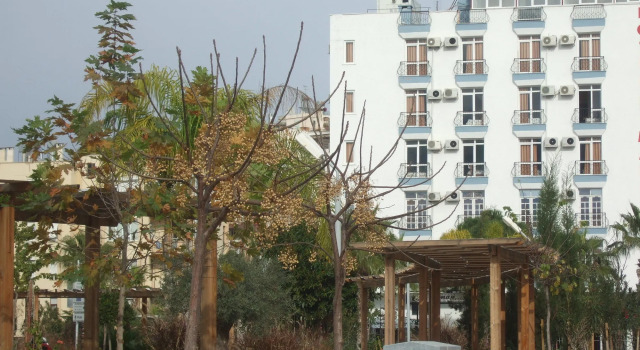 Suntalia Hotel, Забронировать Отель Отели провинции Антальи с парковкой, Парковка