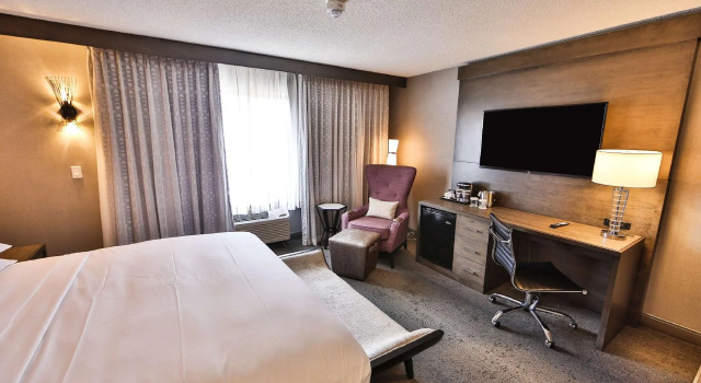 Двухместный номер Standard DoubleTree by Hilton Atlanta Alpharetta-Windward