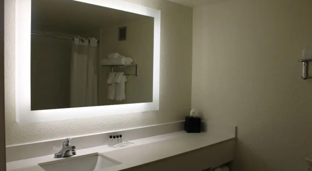Полулюкс Wyndham Flint MI Grand Blanc Bishop Airport Conference Ct