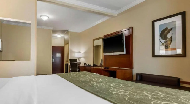 Люкс с видом на море Comfort Suites Corpus Christi Central