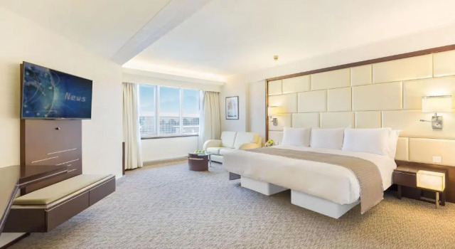 Двухместный номер Deluxe Regal Airport Hotel