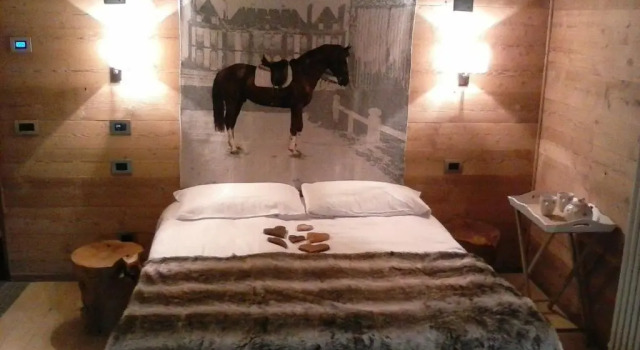 Номер Standard LTHorses & Dreams