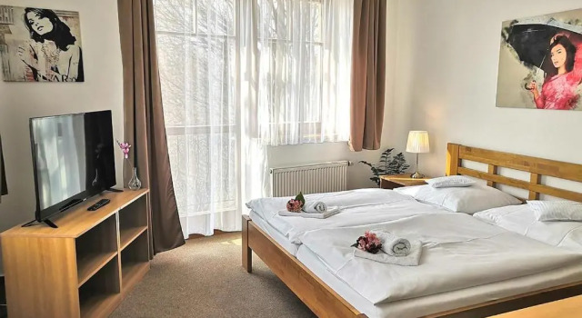 Номер Standard Hotel U Brány