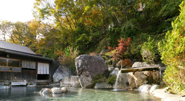Номер Deluxe Hodakaso Yamano Hotel