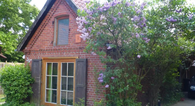 Коттедж Ferienhaus Elbtalaue