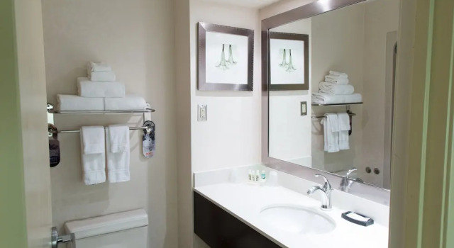 Четырёхместный номер Standard Holiday Inn Windsor - Ambassador Bridge by IHG