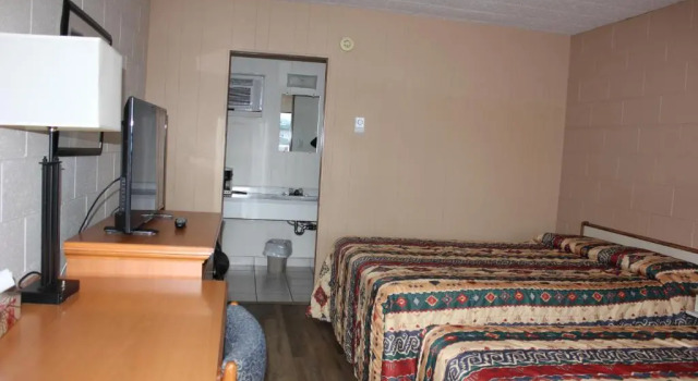 Четырёхместная студия Flamingo Motel