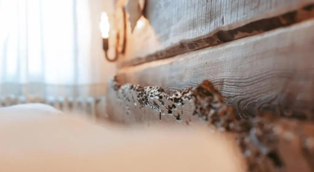 Standard- værelse Laguna Suite B&b