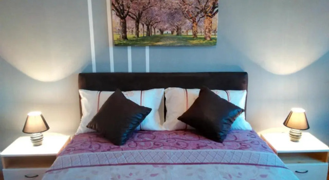 Apartment Premija