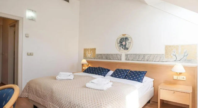 Двухместный номер Standard Hotel Tivoli Prague