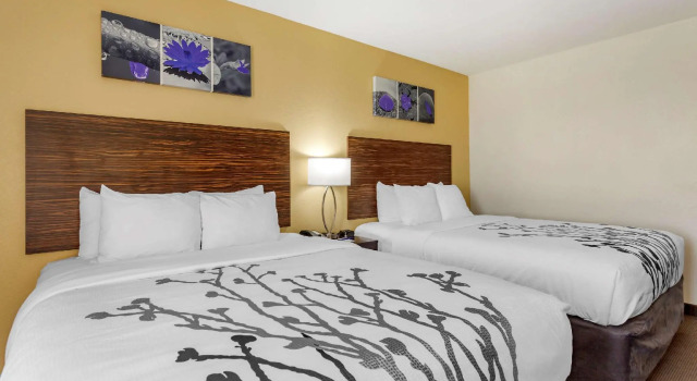 Четырёхместный номер Standard Garner Hotel Clarksville Northeast by IHG