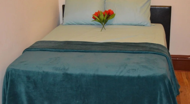 Номер Presidential Williamsburg Hostel