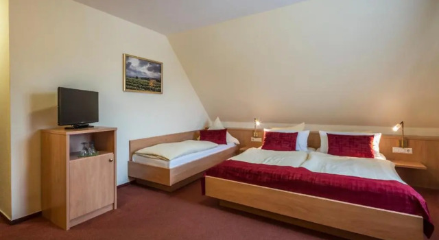 Трёхместный номер Standard Hotel - Landgasthof Rebstock