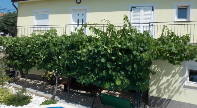 Aurelia Apartment
