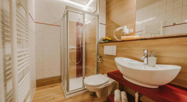 Трёхместный номер Standard Hotel Berglandstübel