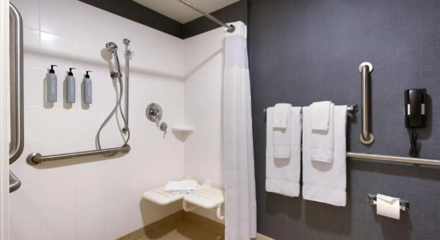 Люкс с 2 комнатами Отель Residence Inn by Marriott Greenville