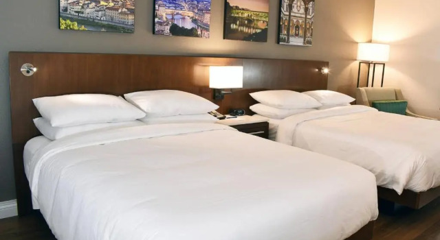 Четырёхместный номер Standard The Fontana Hotel