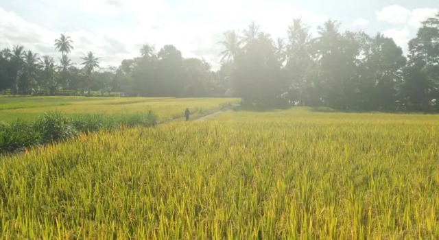 Amara Giri 1